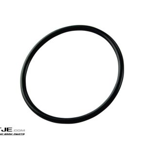 O-ring brandstofpomp